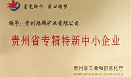 UPAY钱包·微资讯 | 喜讯！！福麟矿业获得2025年贵州省“创新型中小企业”与“专精特新中小企业”双重认定